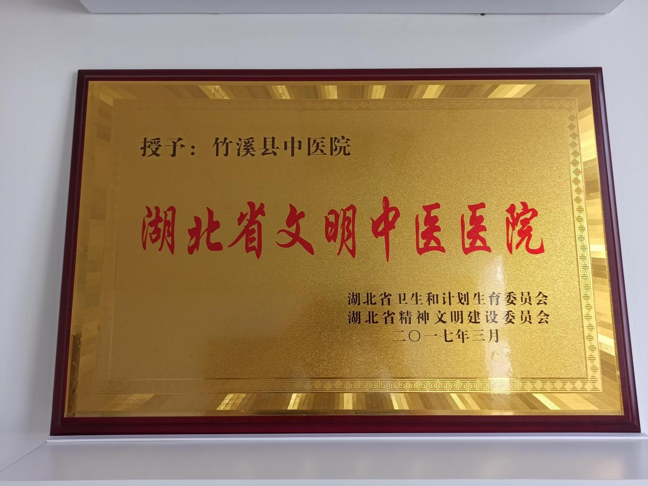 湖北省文明中医医院