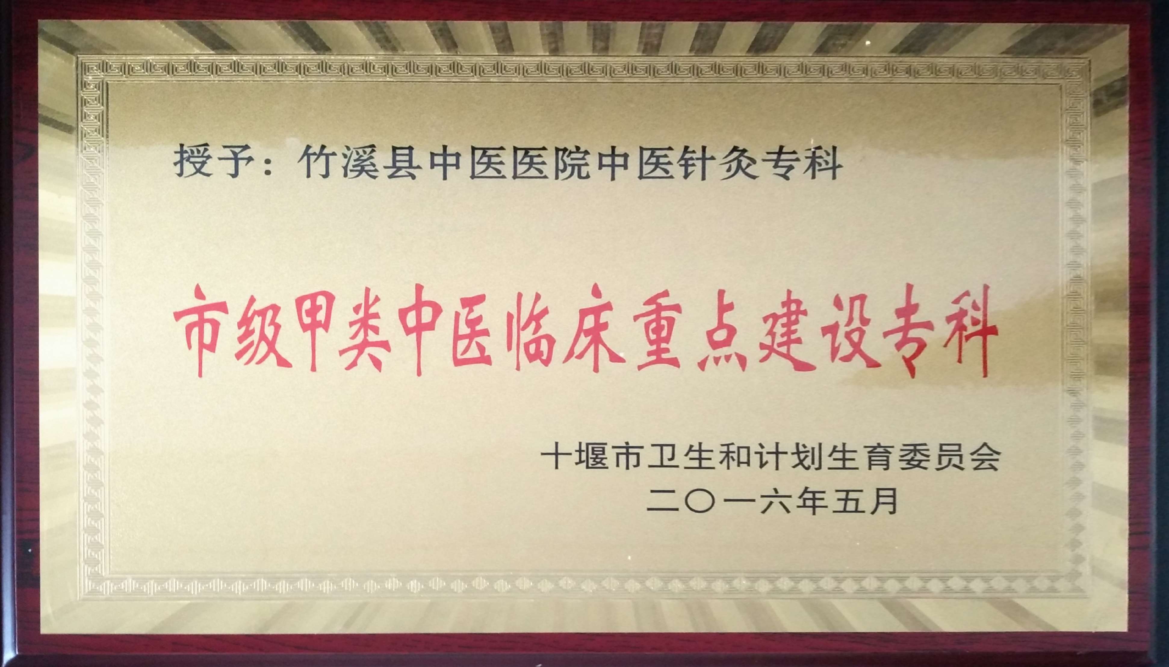 针灸康复科重点建设专科.jpg