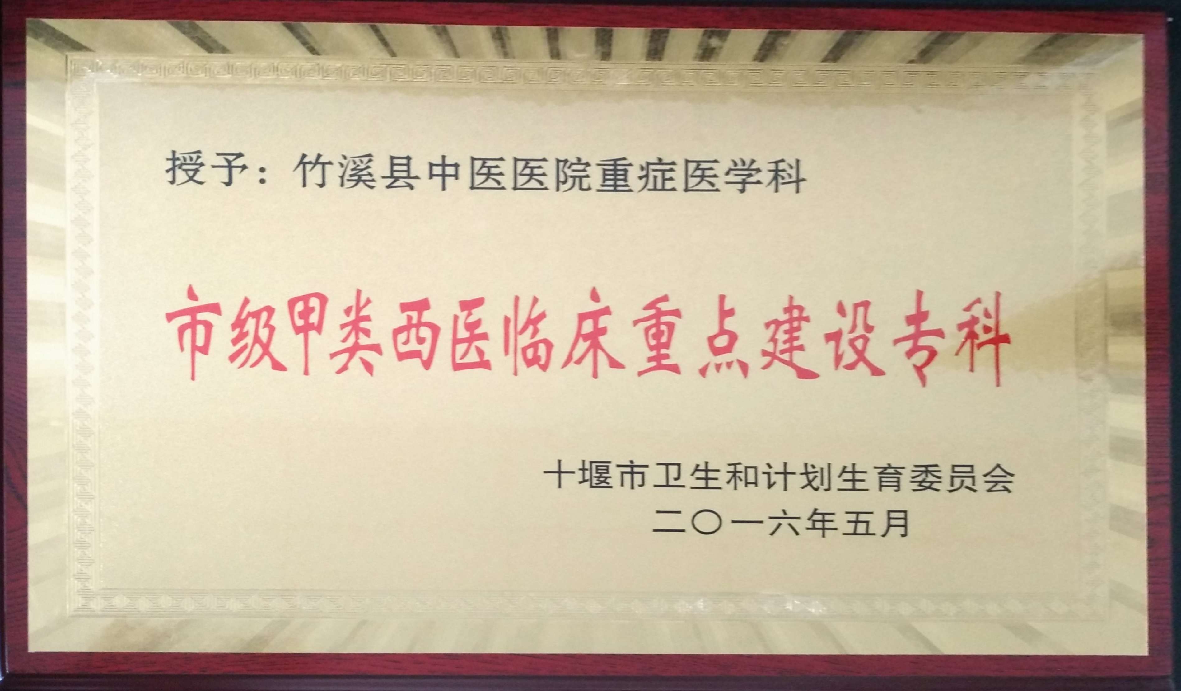 重症医学科重点建设专科.jpg