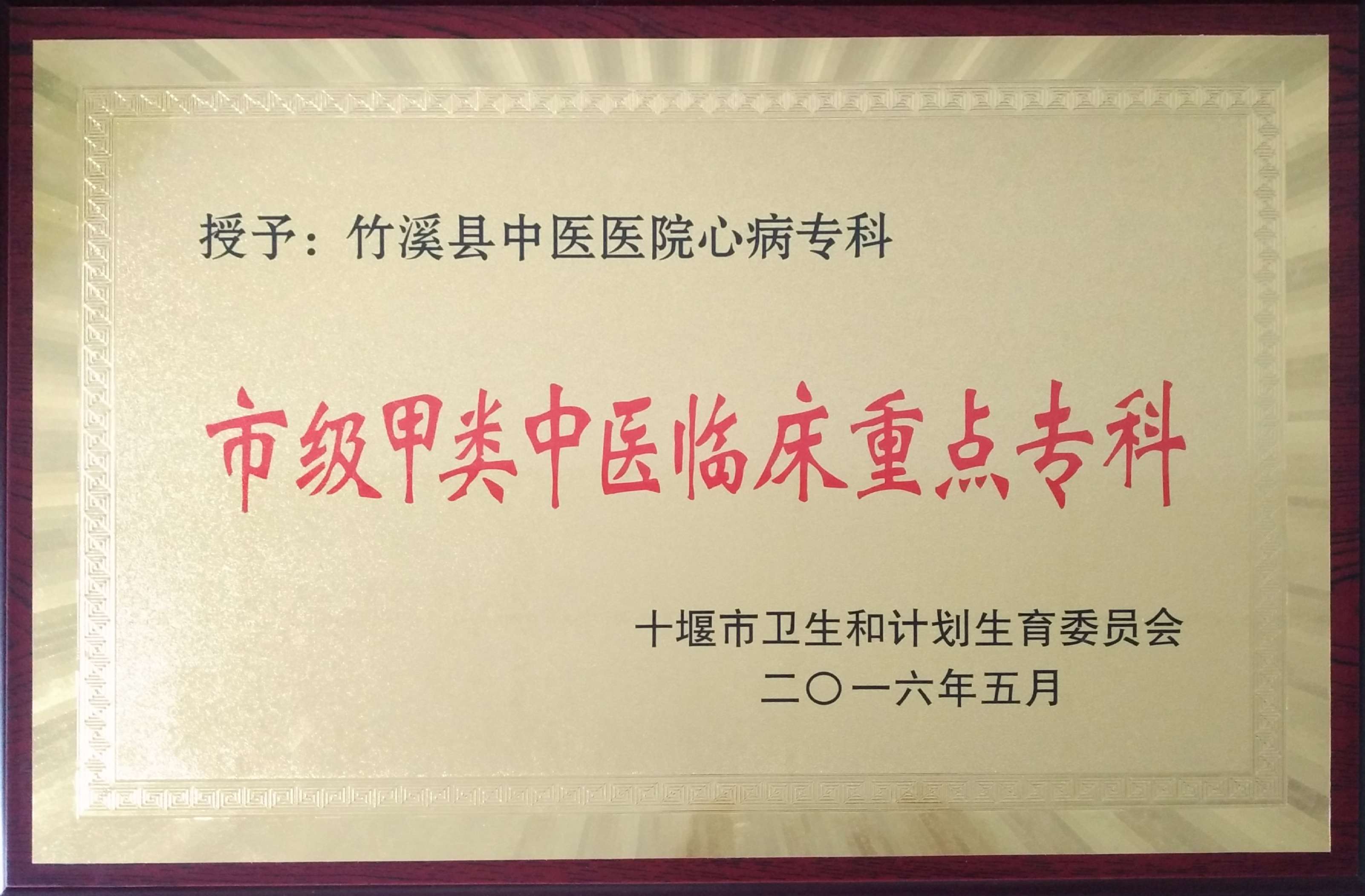 中医心病科重点专科.jpg