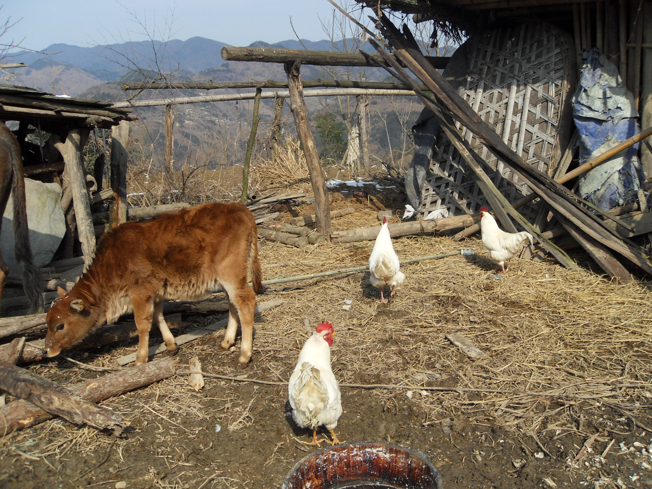 11.家常即美味,随意即丰富。.jpg