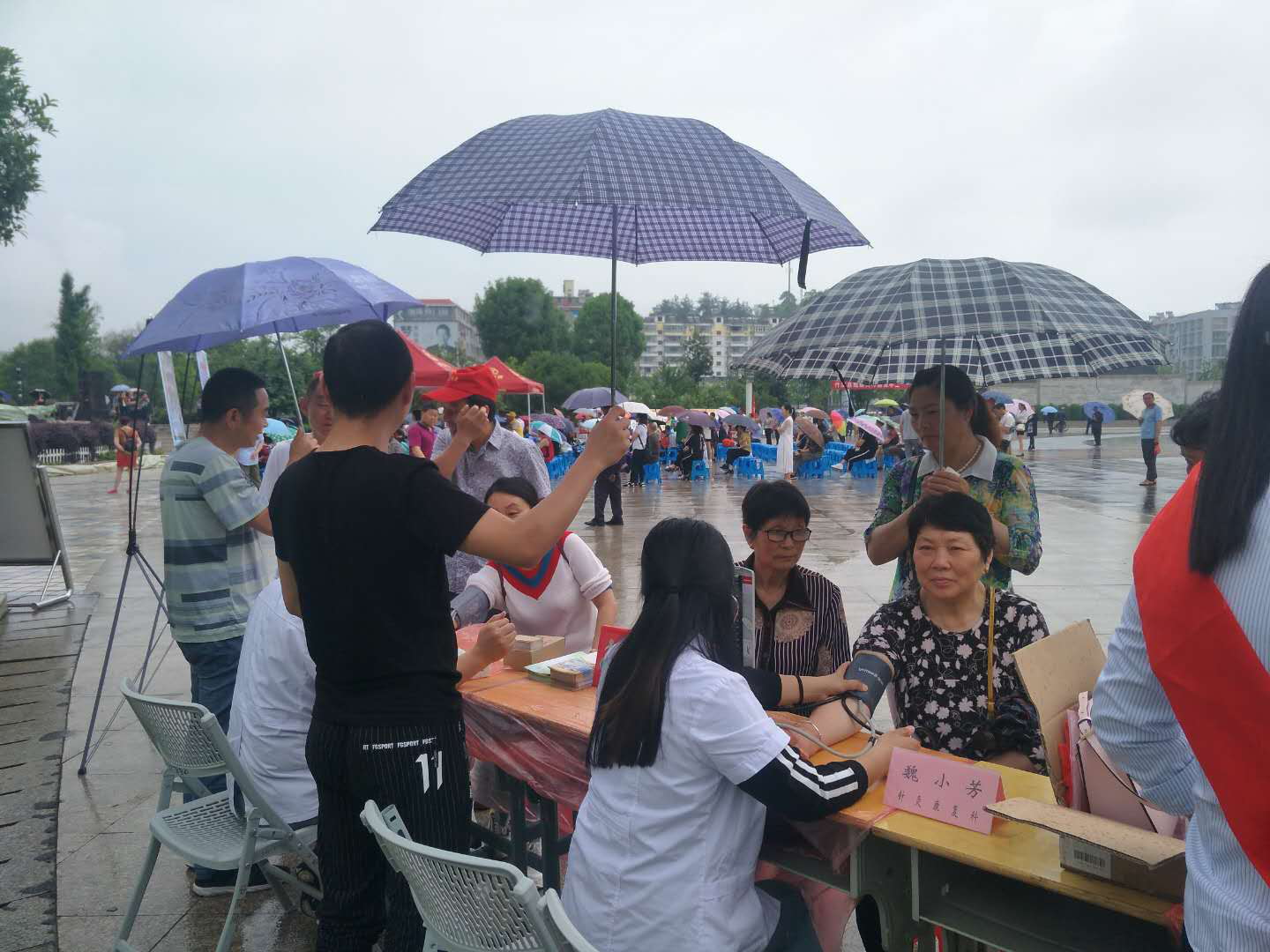 图片2_看图王.jpg